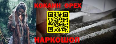 гидра Кимры