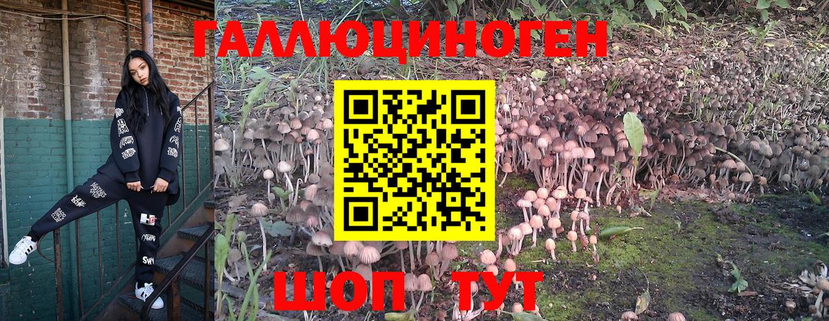 Галлюциногенные грибы Cubensis  Вход с VPN  Холмск 