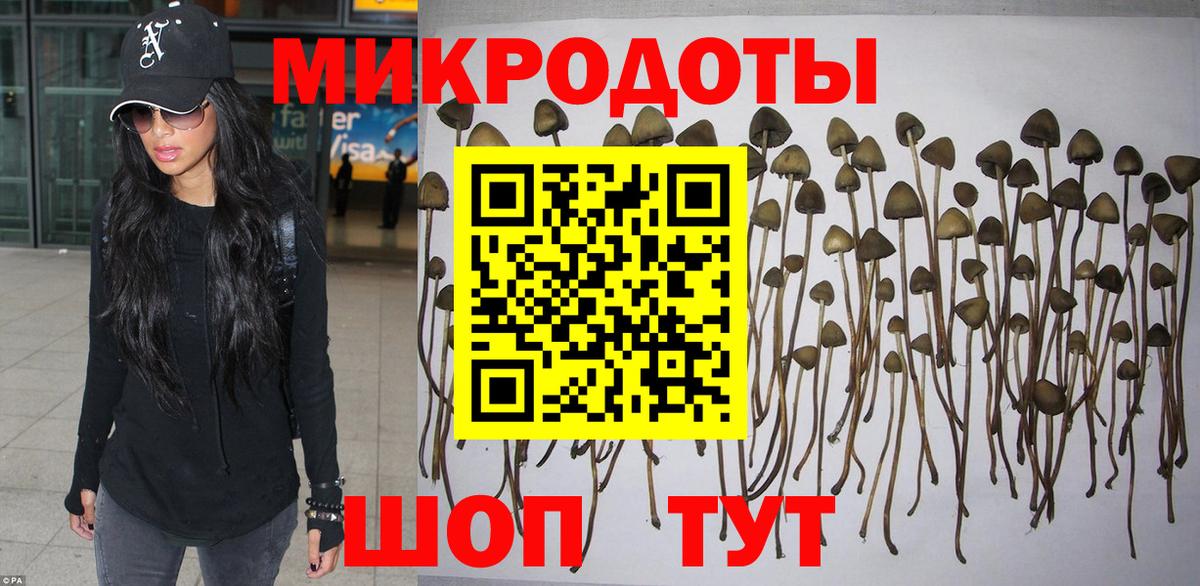 Псилоцибиновые грибы GOLDEN TEACHER Холмск